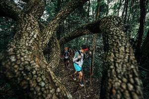 BIB: 
                            <button type="button" onclick="openModal(25392733)" class="btn btn-primary btn-sm float-right btn-popup" data-toggle="modal" data-target=".modal-high-quality">
                        <i class="fas fa-shopping-cart"></i> Add to Cart
                    </button>
                                            <button type="button" onclick="isThisMe(25392733, true)" class="btn btn-success btn-sm float-right btn-popup btn-isme hidden" data-toggle="tooltip" data-placement="bottom" title="นี่คือรูปของคุณใช่ไหม คลิกที่นี่เพื่อเอาเข้าอัลบั้ม">
                        <i class="fas fa-plus"></i> Add to album
                    </button>
                    <button type="button" onclick="isThisMe(25392733, false)" class="btn btn-warning btn-sm float-right btn-popup btn-isnotme hidden">
                        <i class="fas fa-ban"></i> Remove from album
                    </button>